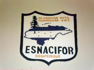 ESNACIFOR logo painted on a wall